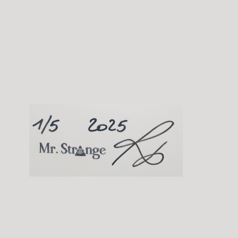 Enchères Plastic is fantastic pop Art